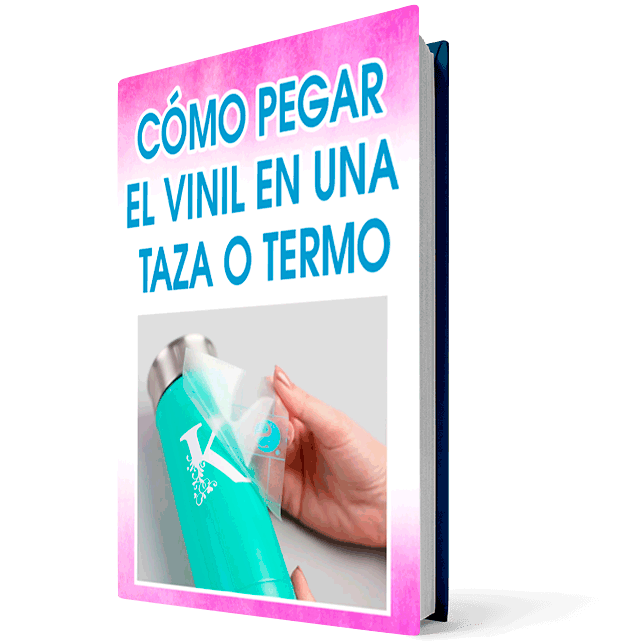 libro vinil en termo15 6